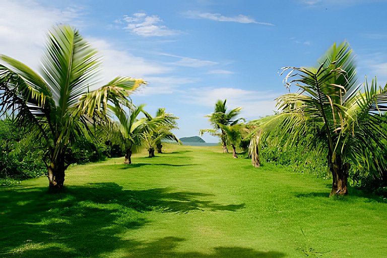 A 150 m Praia c/Piscina e Wi-FI - STR807T1