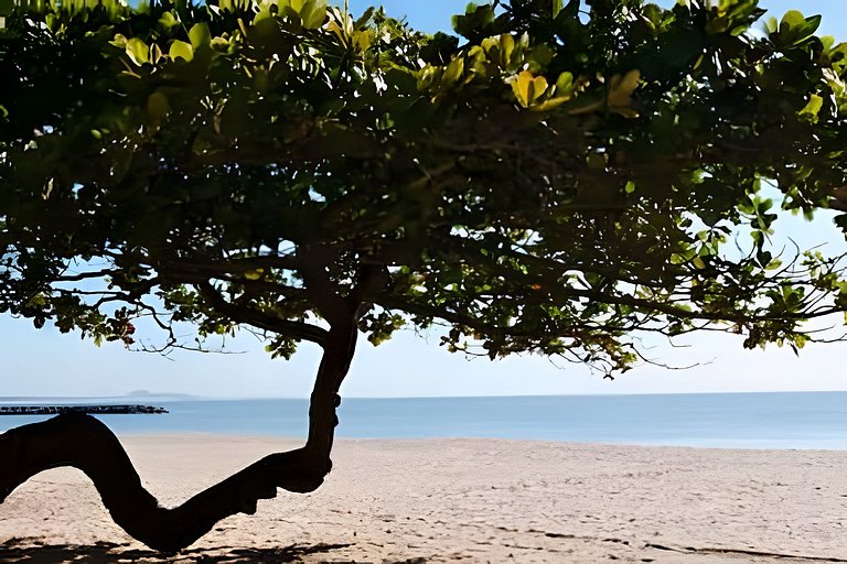 Apto a 150m da PRAIA Churrasq. c/ Piscina Ar Wi-Fi